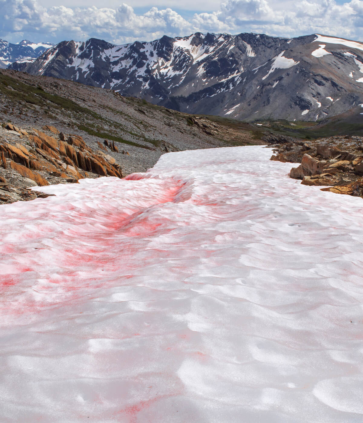 Snowy mountain landscape with pink-tinged snow patches under cloudy sky