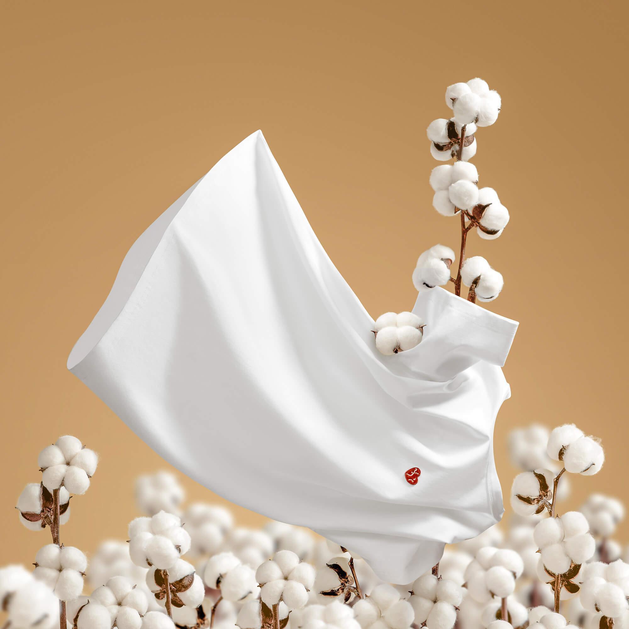 Cotton Loose T Shirt in White