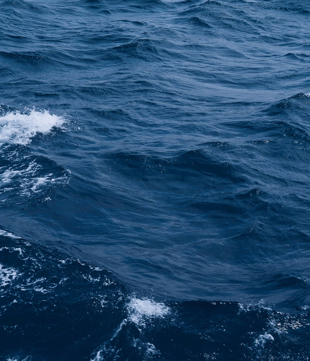 Deep blue ocean waves with white foam, capturing the dynamic movement of sea water.