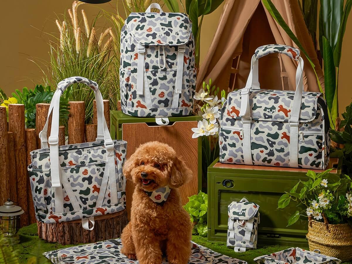 Dog with patterned pet bags and backpacks in outdoor camp setting